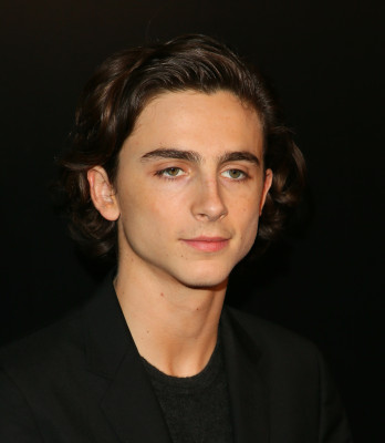 Timothée Chalamet - 43rd Annual LA Film Critics Association Awards 01/13/2018