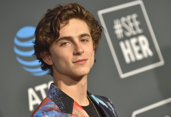Timothée Chalamet - 24th Annual Critics&#039; Choice Awards in Santa Monica 01/13/19
