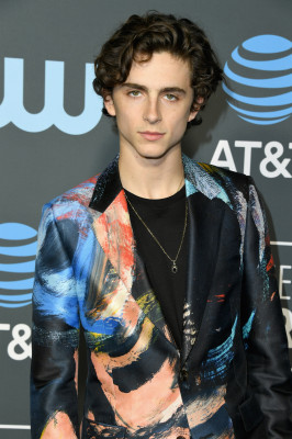 Timothée Chalamet - 24th Annual Critics&#039; Choice Awards in Santa Monica 01/13/19