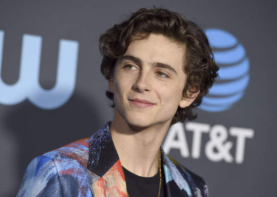 Timothée Chalamet - 24th Annual Critics&#039; Choice Awards in Santa Monica 01/13/19