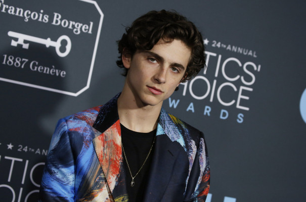 Timothée Chalamet - 24th Annual Critics&#039; Choice Awards in Santa Monica 01/13/19