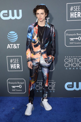 Timothée Chalamet - 24th Annual Critics&#039; Choice Awards in Santa Monica 01/13/19