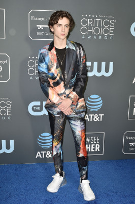 Timothée Chalamet - 24th Annual Critics&#039; Choice Awards in Santa Monica 01/13/19