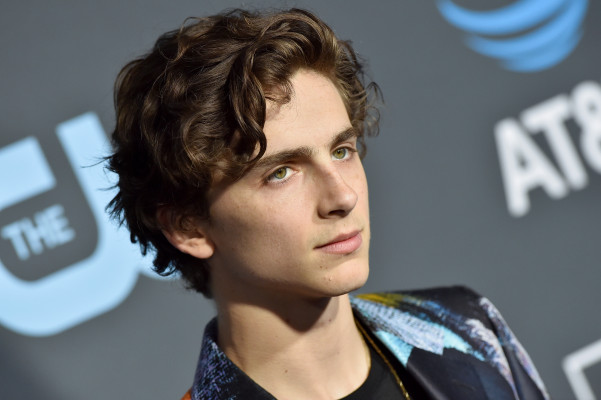 Timothée Chalamet - 24th Annual Critics&#039; Choice Awards in Santa Monica 01/13/19