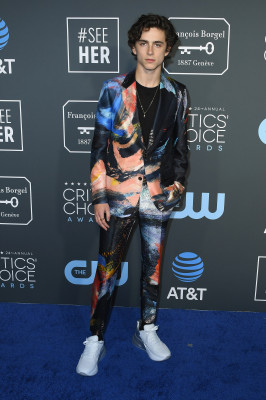 Timothée Chalamet - 24th Annual Critics&#039; Choice Awards in Santa Monica 01/13/19