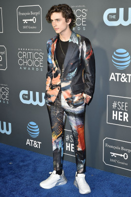 Timothée Chalamet - 24th Annual Critics&#039; Choice Awards in Santa Monica 01/13/19