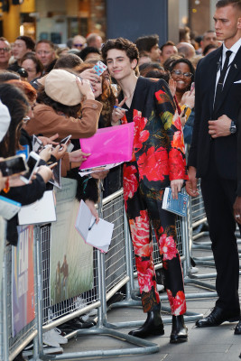 Timothée Chalamet - &#039;Beautiful Boy&#039; Premiere at 62nd BFI LFF 10/13/2018
