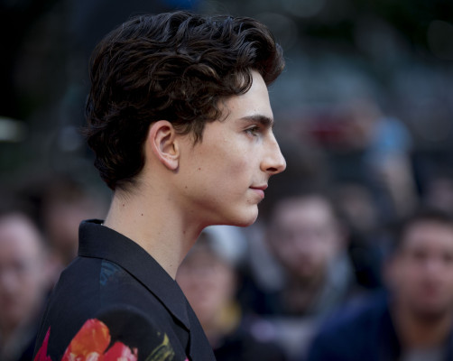 Timothée Chalamet - &#039;Beautiful Boy&#039; Premiere at 62nd BFI LFF 10/13/2018