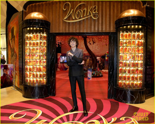 Timothée Chalamet - &#039;Wonka&#039; Canadian Fan Screening in Toronto 12/13/2023