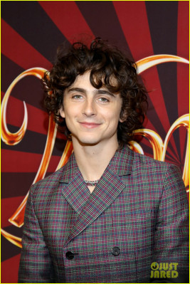 Timothée Chalamet - &#039;Wonka&#039; Canadian Fan Screening in Toronto 12/13/2023