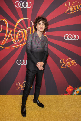 Timothée Chalamet - &#039;Wonka&#039; Canadian Fan Screening in Toronto 12/13/2023