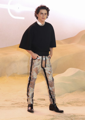 Timothée Chalamet - &#039;Dune: Part Two&#039; London Premiere 02/15/2024