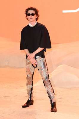 Timothée Chalamet - &#039;Dune: Part Two&#039; London Premiere 02/15/2024