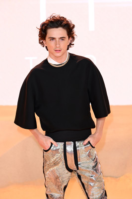 Timothée Chalamet - &#039;Dune: Part Two&#039; London Premiere 02/15/2024