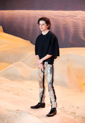 Timothée Chalamet - 'Dune: Part Two' London Premiere 02/15/2024