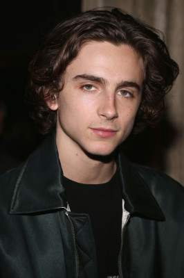 Timothée Chalamet - &#039;Call Me by Your Name&#039; NY Screening After Party 11/16/2017