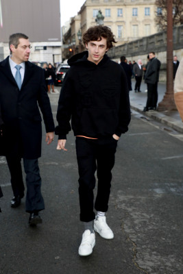 Timothée Chalamet - Louis Vuitton Menswear FW 2019 Show at PFW 01/17/2019
