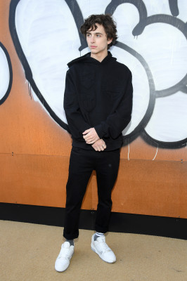 Timothée Chalamet - Louis Vuitton Menswear FW 2019 Show at PFW 01/17/2019
