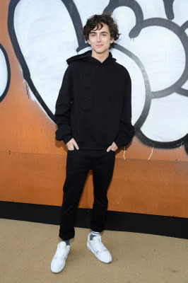 Timothée Chalamet - Louis Vuitton Menswear FW 2019 Show at PFW 01/17/2019