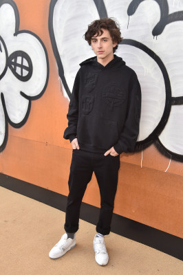 Timothée Chalamet - Louis Vuitton Menswear FW 2019 Show at PFW 01/17/2019
