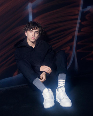 Timothée Chalamet - Louis Vuitton Menswear FW 2019 Show at PFW 01/17/2019