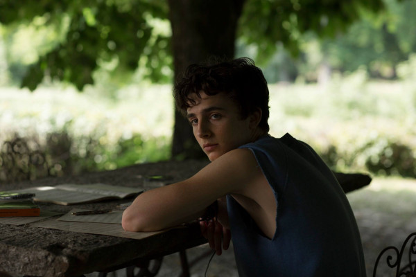 Timothée Chalamet - Call Me by Your Name (2017)