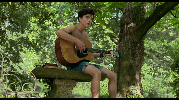 Timothée Chalamet - Call Me by Your Name (2017)