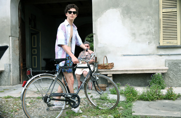 Timothée Chalamet - Call Me by Your Name (2017)