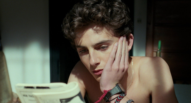 Timothée Chalamet - Call Me by Your Name (2017)