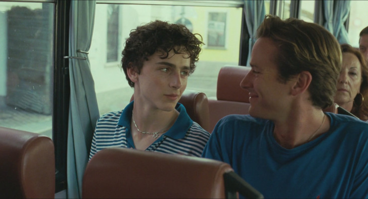 Timothée Chalamet - Call Me by Your Name (2017)