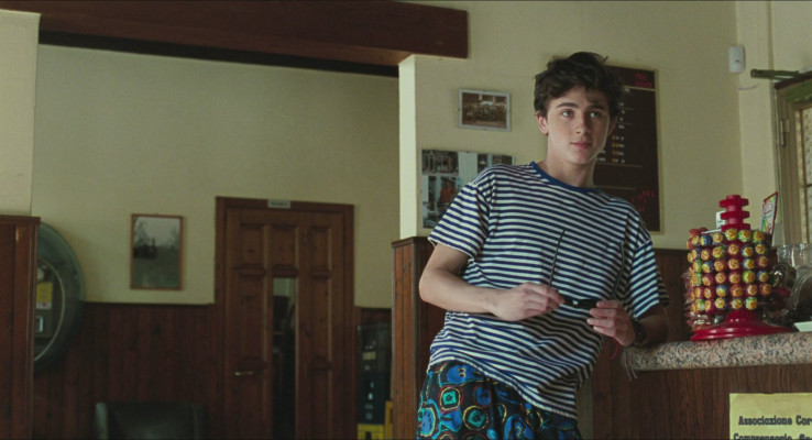 Timothée Chalamet - Call Me by Your Name (2017)
