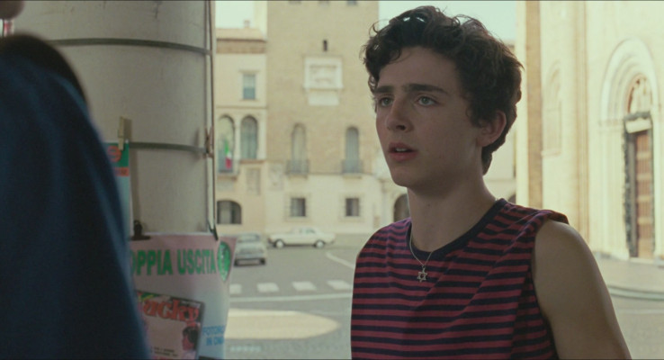 Timothée Chalamet - Call Me by Your Name (2017)