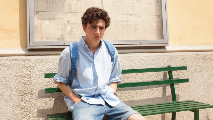 Timothée Chalamet - Call Me by Your Name (2017)