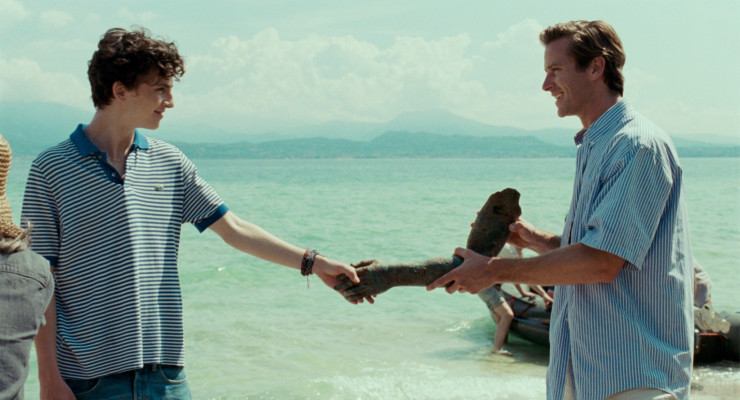 Timothée Chalamet - Call Me by Your Name (2017)