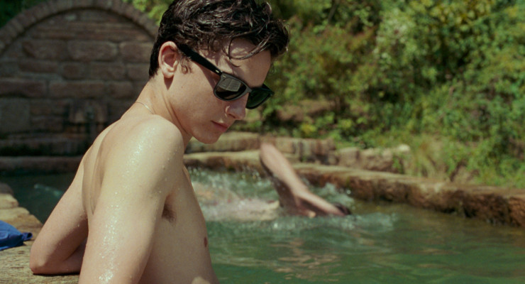 Timothée Chalamet - Call Me by Your Name (2017)