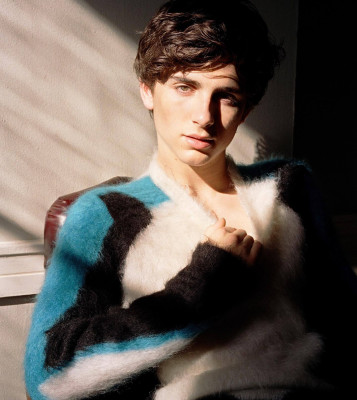 Timothée Chalamet by Carlotta Manaigo for L&#039;Officiel Hommes Italy (2017)
