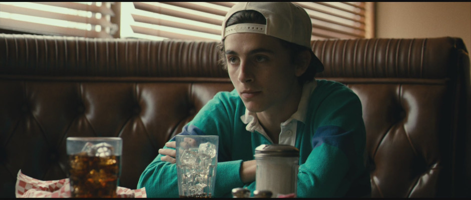 Timothée Chalamet - Hot Summer Nights (2017)