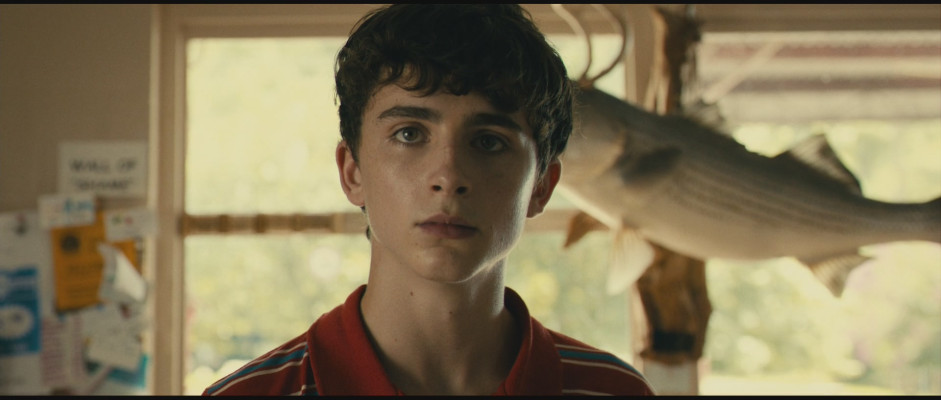 Timothée Chalamet - Hot Summer Nights (2017)