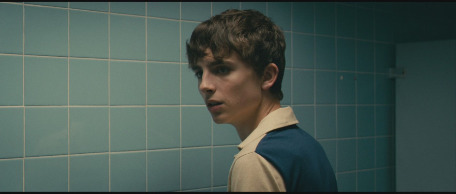 Timothée Chalamet - Hot Summer Nights (2017)