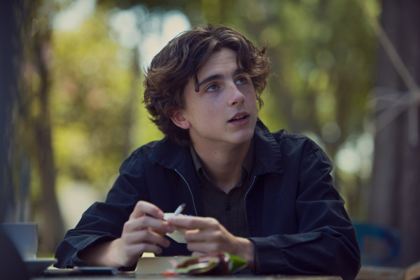 Timothée Chalamet - Lady Bird (2017)