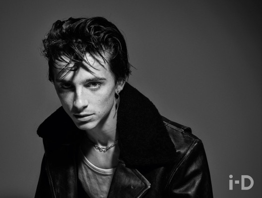 Timothée Chalamet by Mario Sorrenti for i-D (2018)