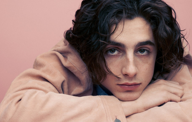Timothée Chalamet by Matt Holyoak for ShortList (2018)
