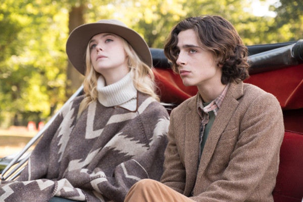 Timothée Chalamet - A Rainy Day in New York (2019) Movie Stills