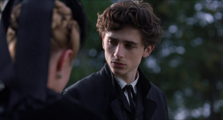 Timothée Chalamet - Little Women (2019)