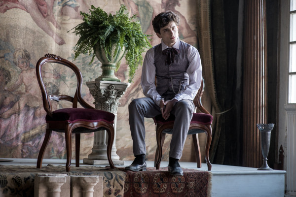 Timothée Chalamet - Little Women (2019)