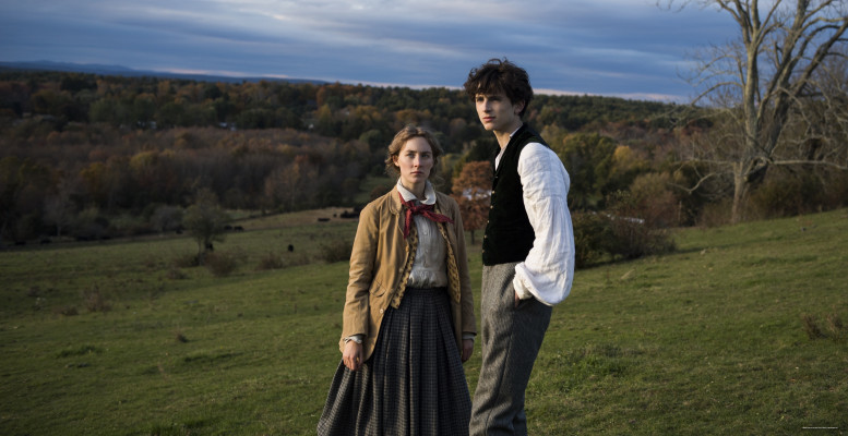 Timothée Chalamet - Little Women (2019)