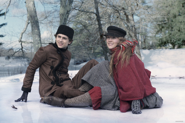 Timothée Chalamet - Little Women (2019)