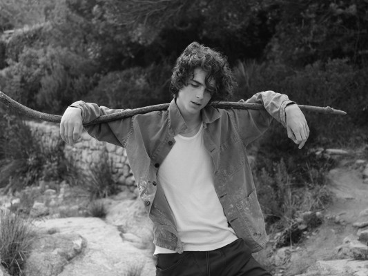 Timothée Chalamet by Hedi Slimane for Document (2020)