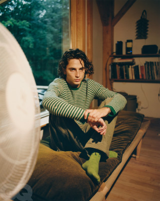 Timothée Chalamet by Renell Medrano for GQ Magazine (2020)