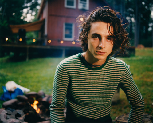Timothée Chalamet by Renell Medrano for GQ Magazine (2020)